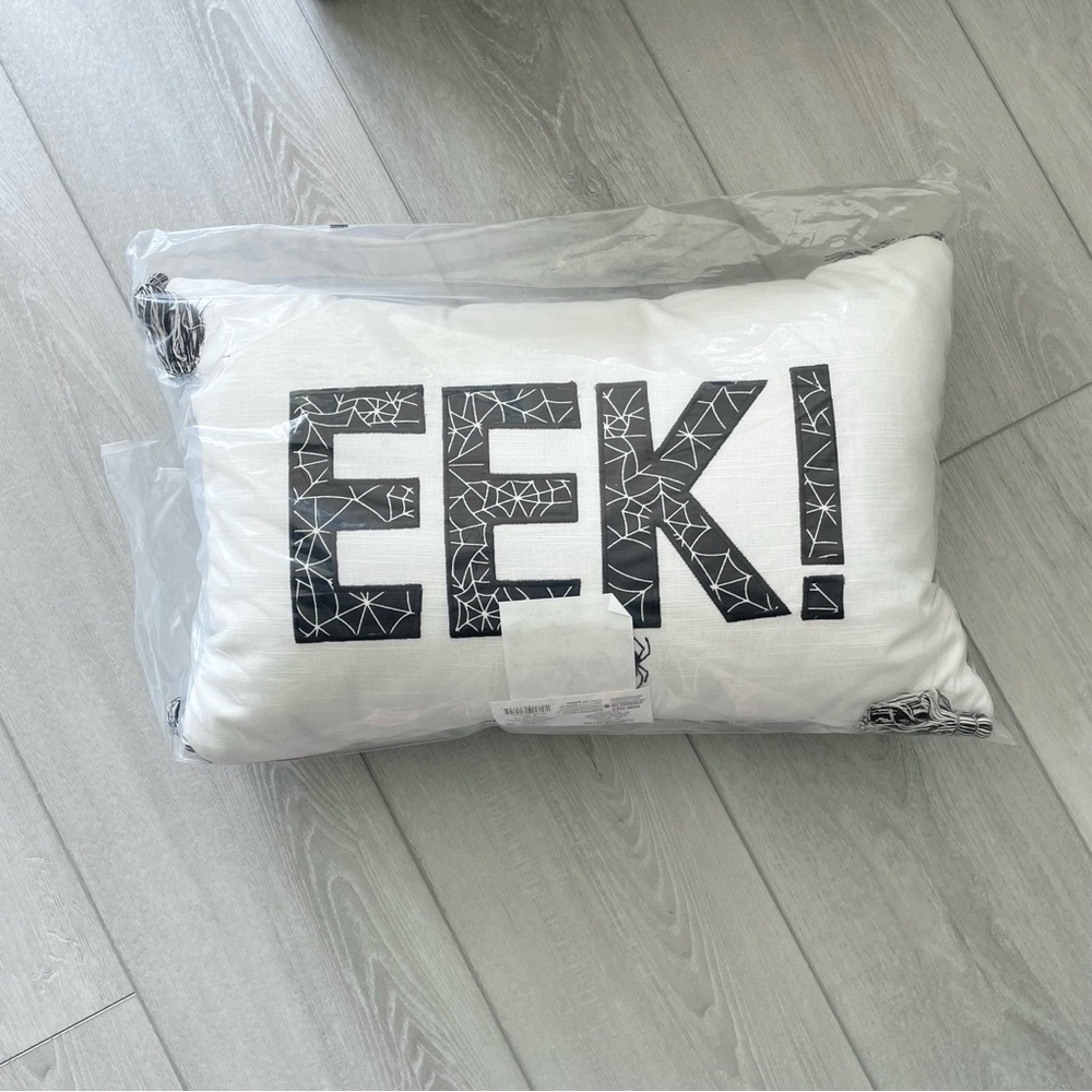 NIP Halloween EEK! Spiderweb pillow